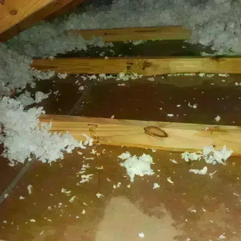 Attic Water Damage in Lake of the Woods, IL